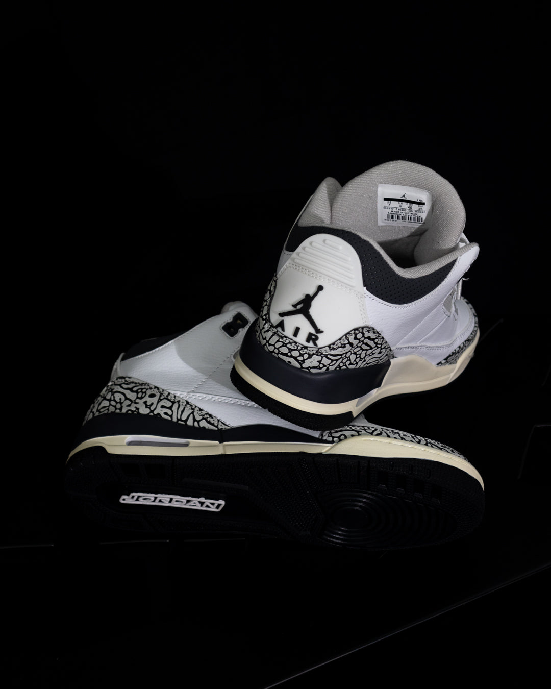 Nike Air Jordan 3 “Hide & Sneak"
