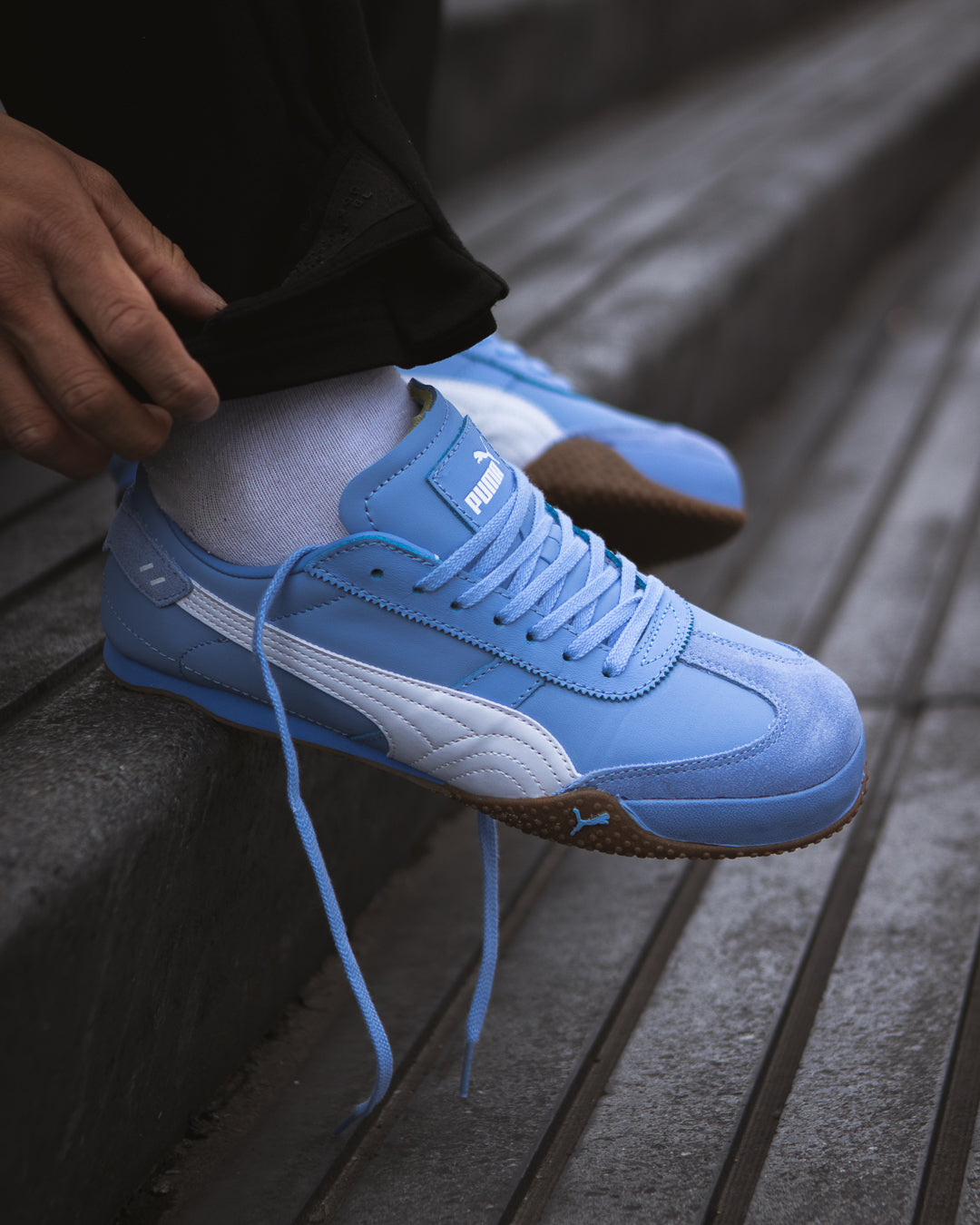 Puma bella ut