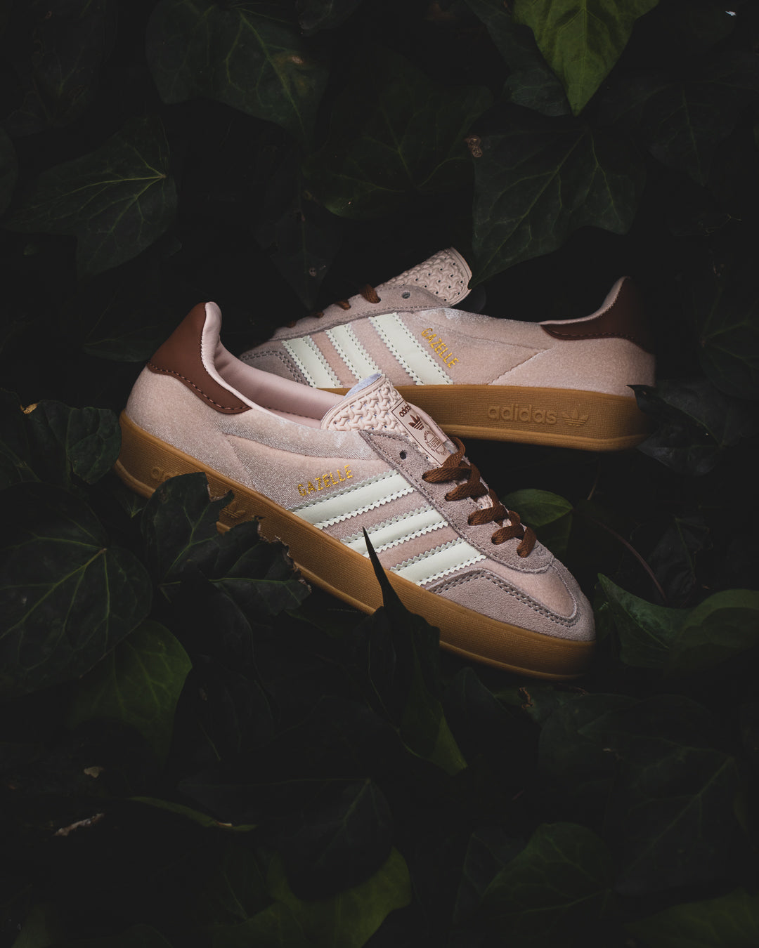 Adidas gazelle