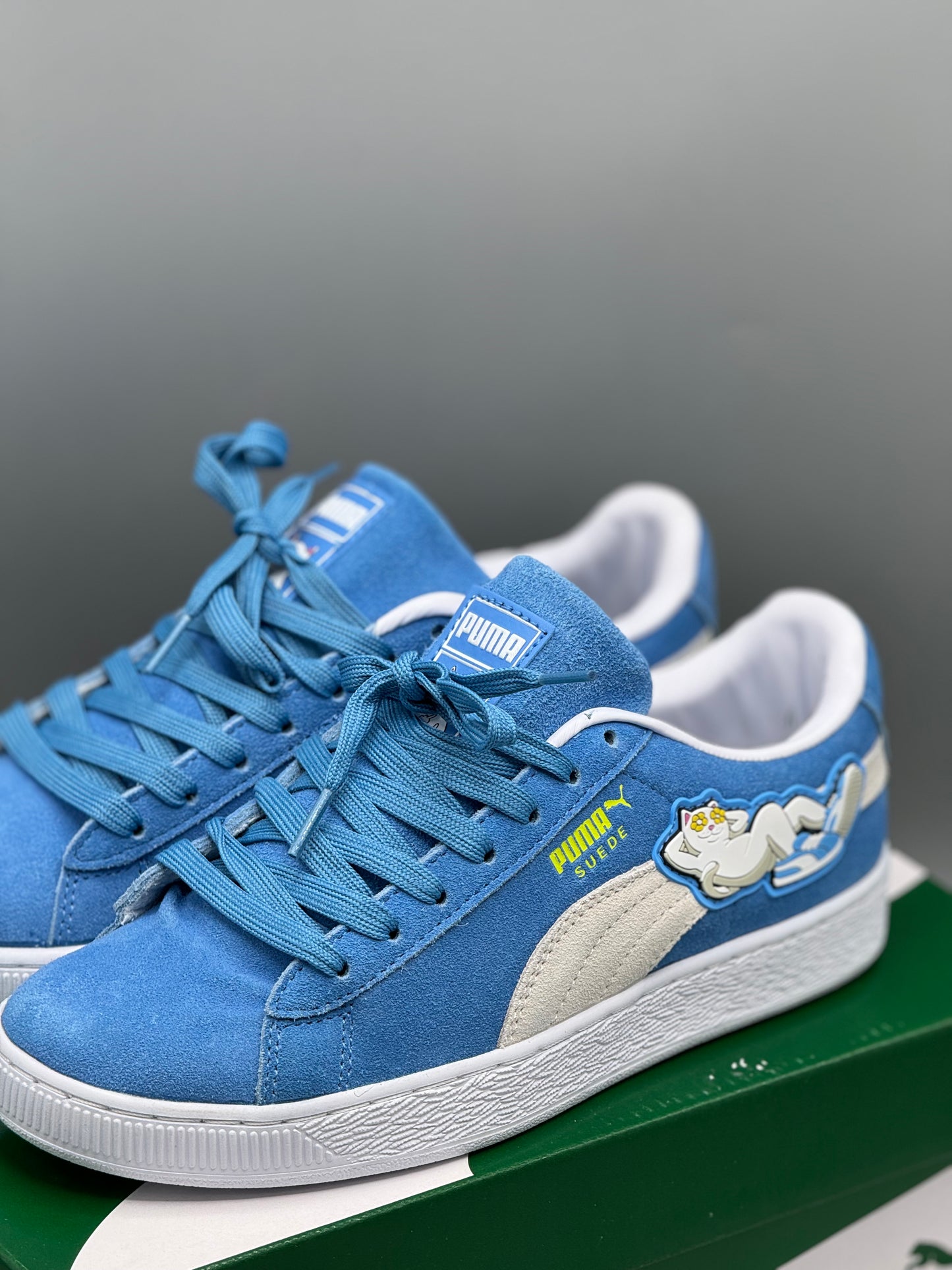 Puma seude RIPNDIP