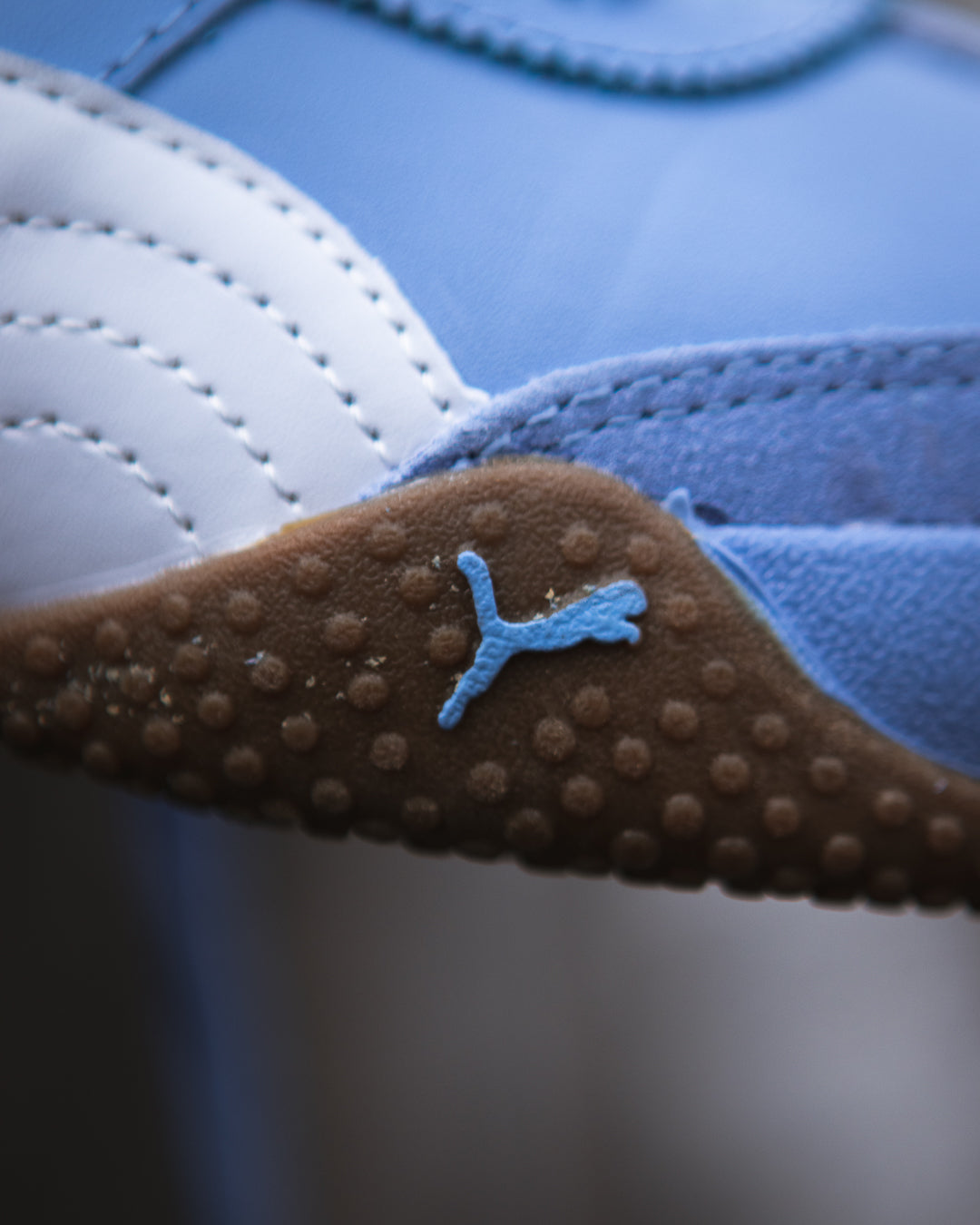 Puma bella ut