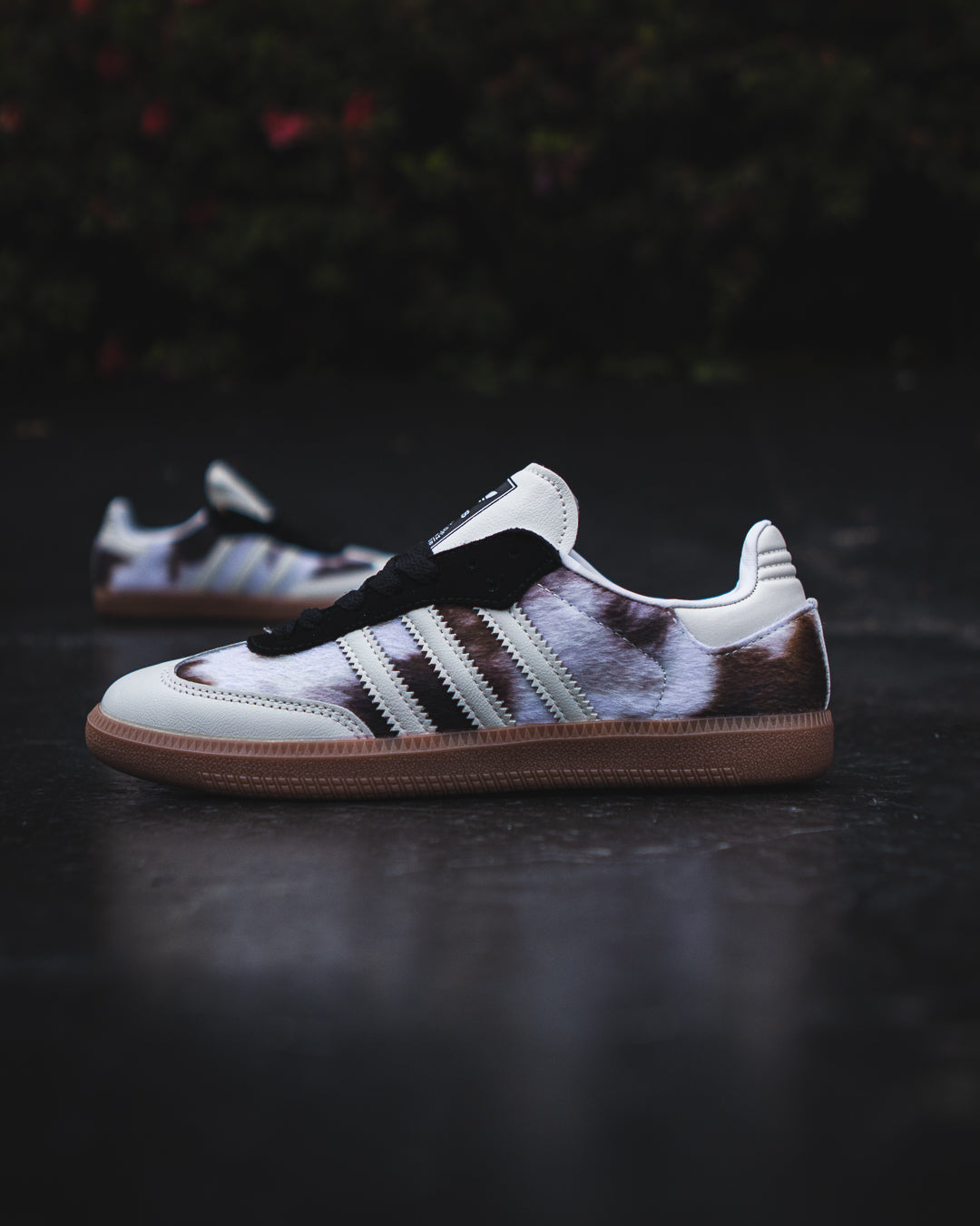 Adidas samba