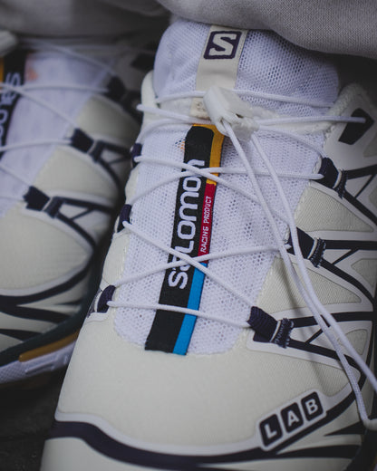 Salomon XT-6