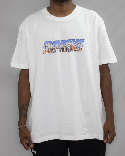 Camiseta supreme