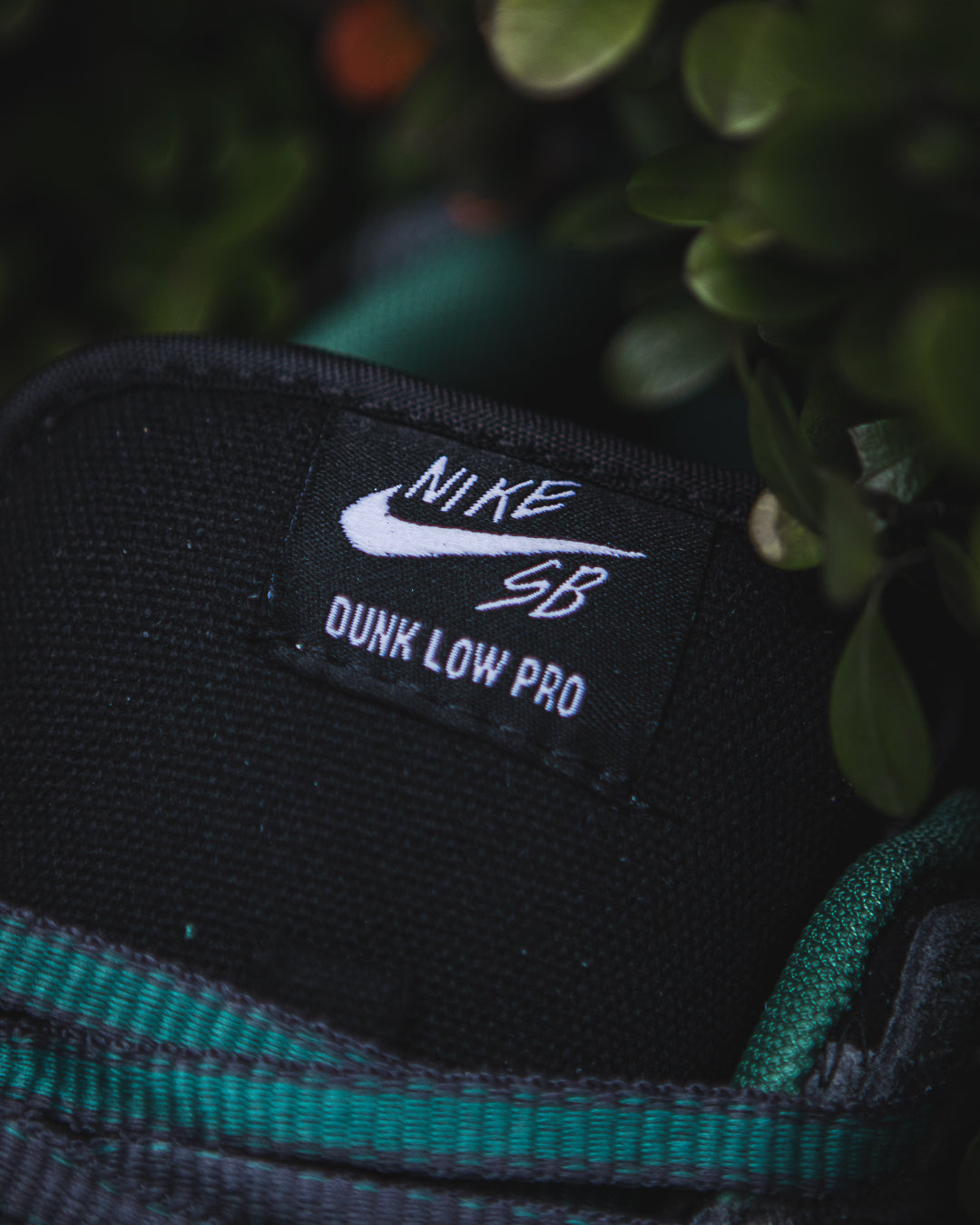 Nike Dunk Low SB Pro x There Skateboards