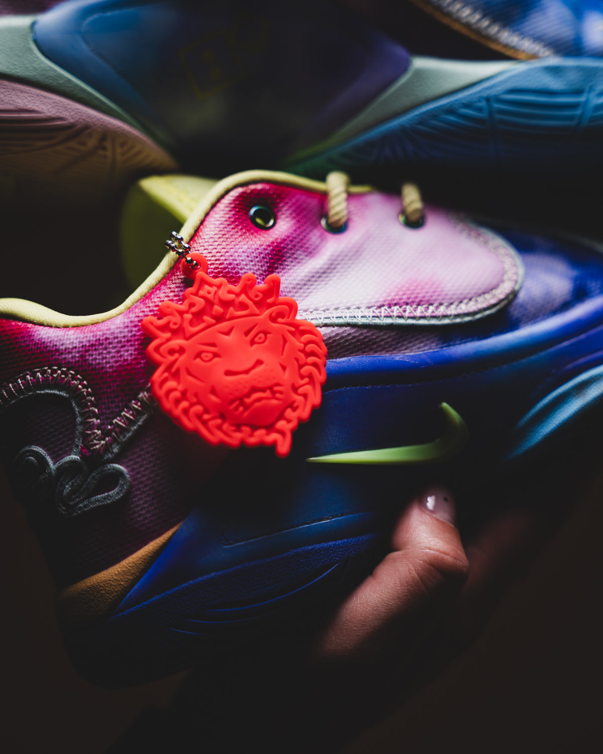 Nike Lebron 22 What the Monopoly