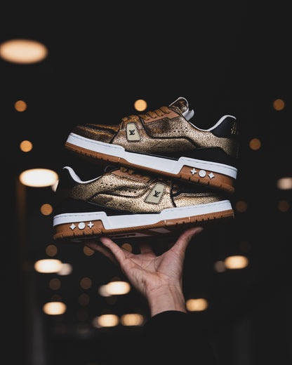 LV Trainer