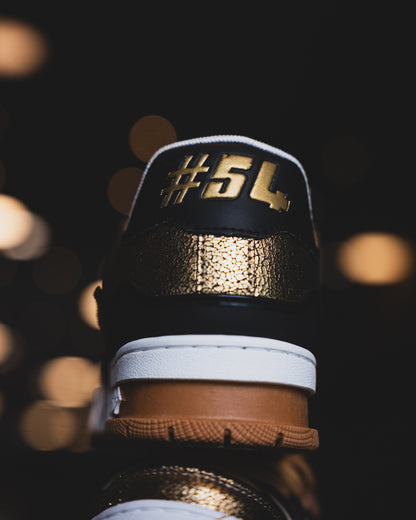 LV Trainer