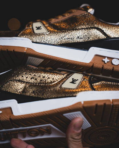 LV Trainer