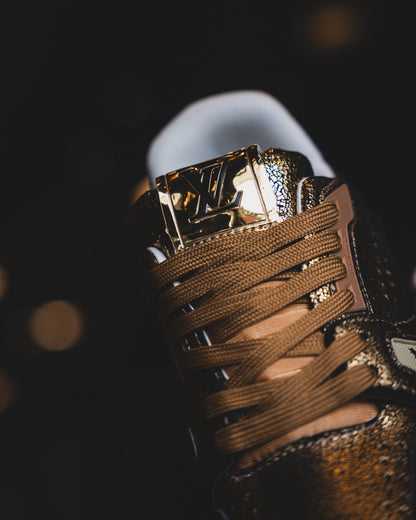 LV Trainer