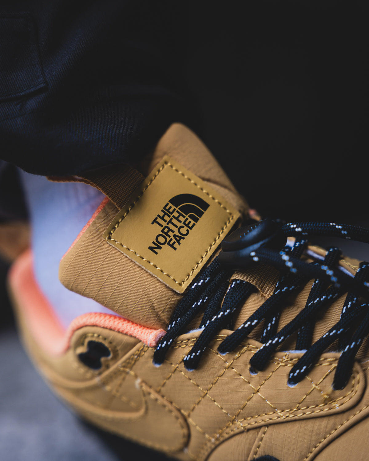 Nike Air Max 1 x The North Face