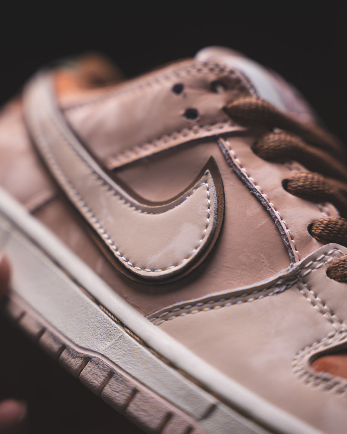 Nike SB Dunk Low Pro "Trocadero Gardens"