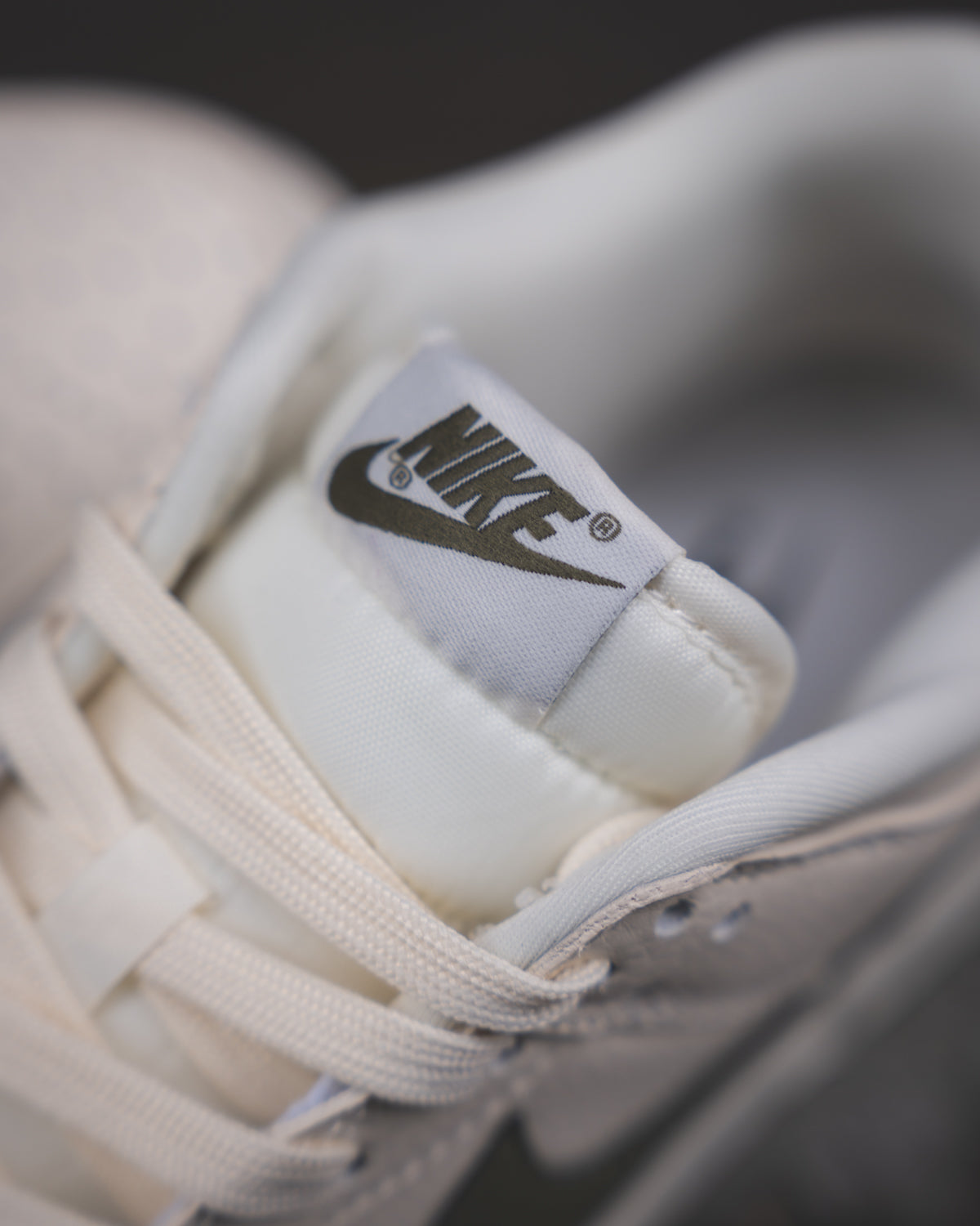 Nike Dunk Low SB Beige/Green Olive