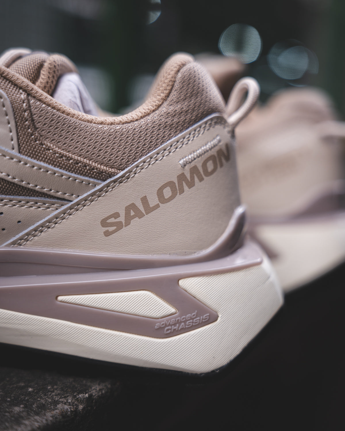 Salomon Advanced Odyssey ELMT Low LTR