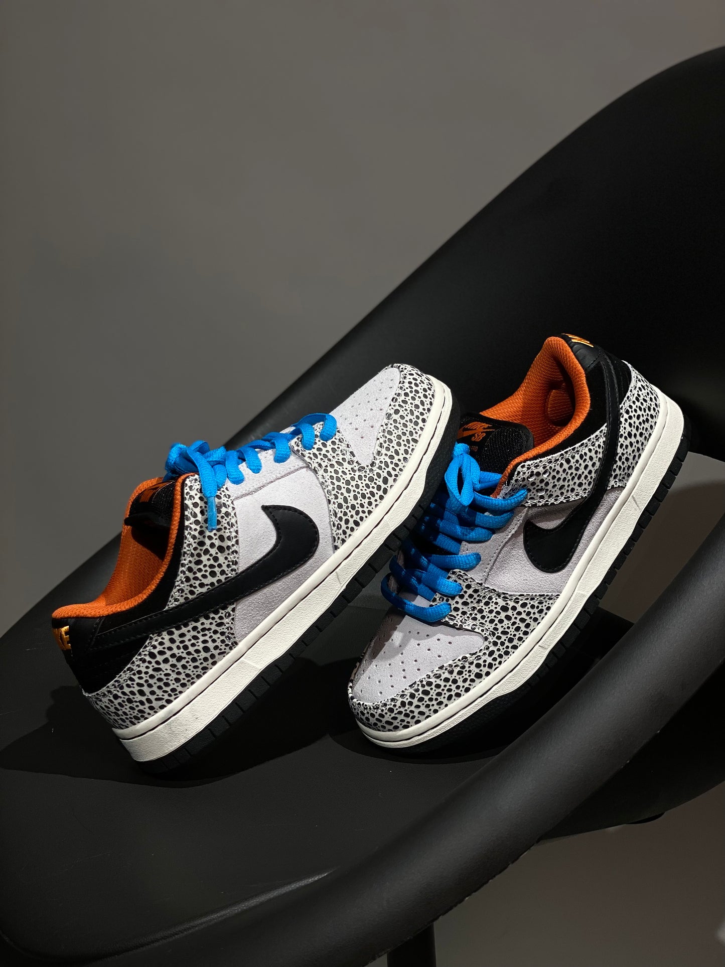 Nike SB Dunk Safari Olympics