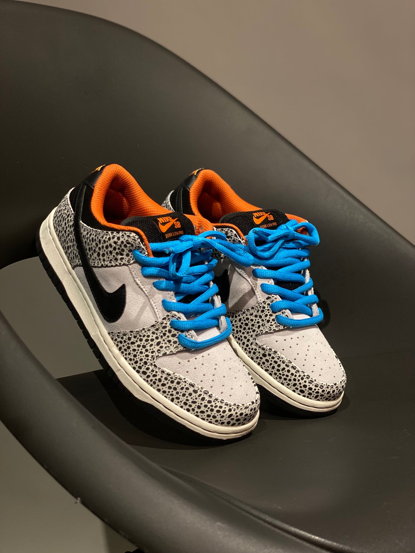 Nike SB Dunk Safari Olympics