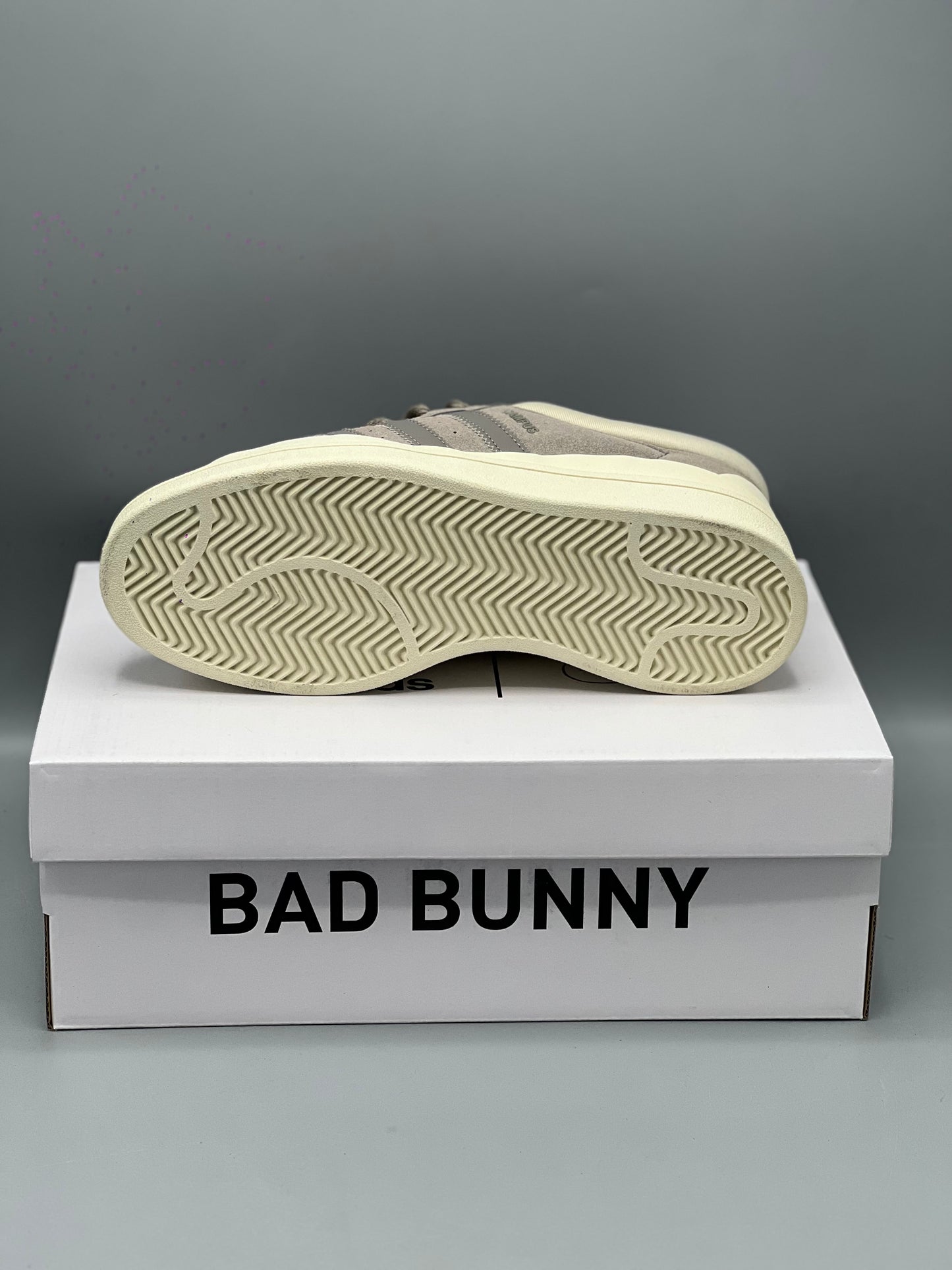 Adidas campus x bad bunny