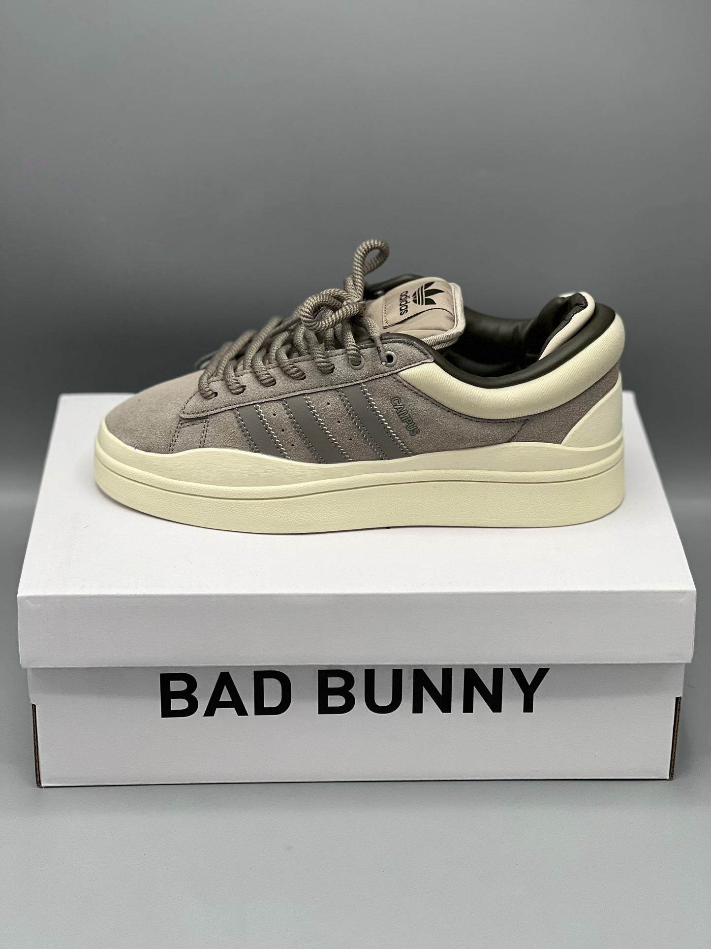 Adidas campus x bad bunny