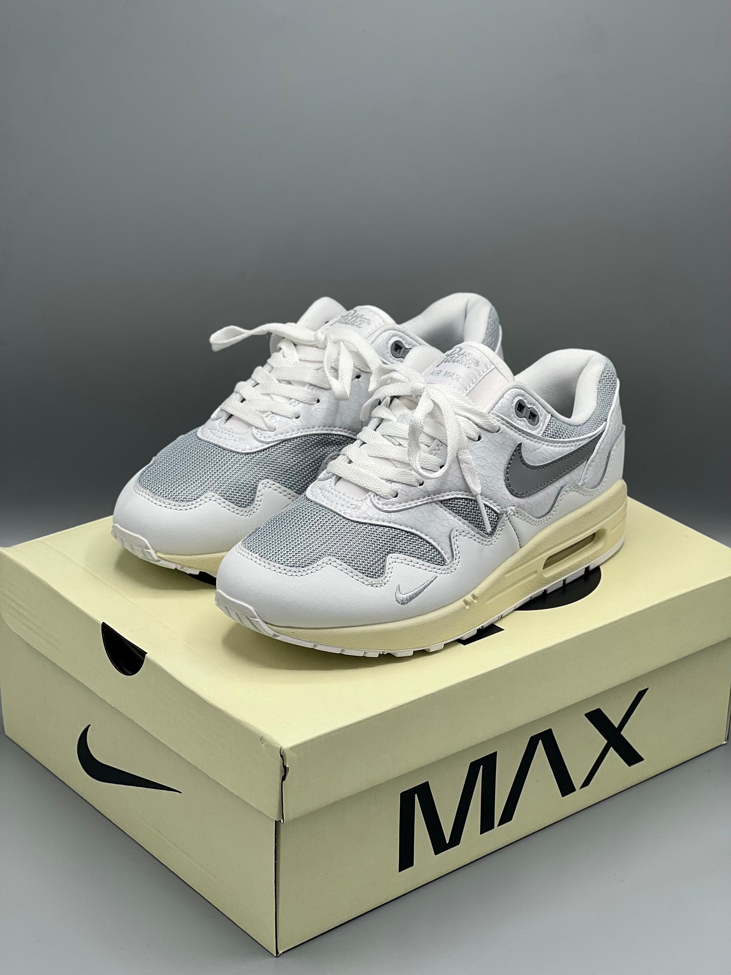 Nike air Max x PATTA